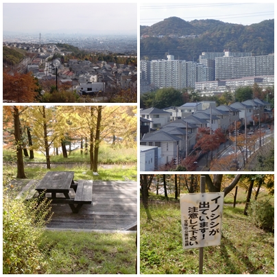 秋★山手台
