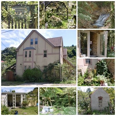 癒しの森ガーデンカフェ　アリス２