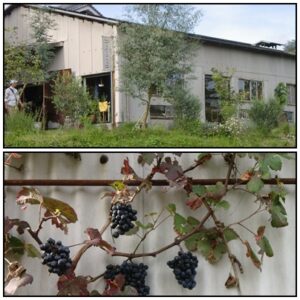 三田　雑貨やさん