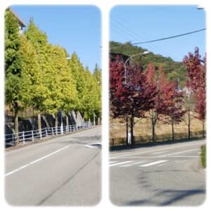 ３秋の１日